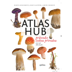 Atlas hub